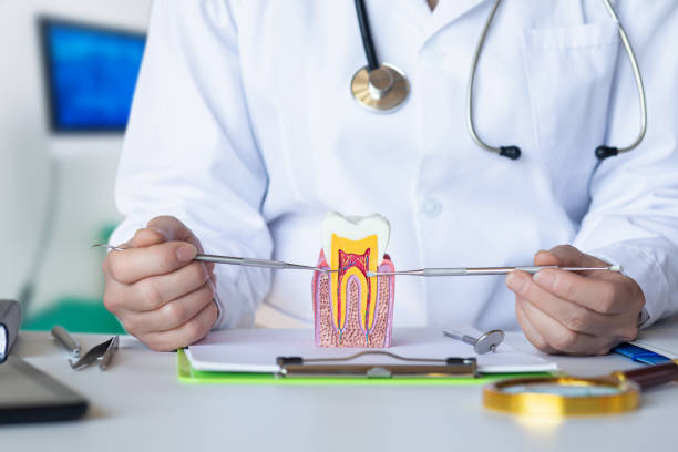 Best Cosmetic Emergency Dentistry in Sycamore, IL